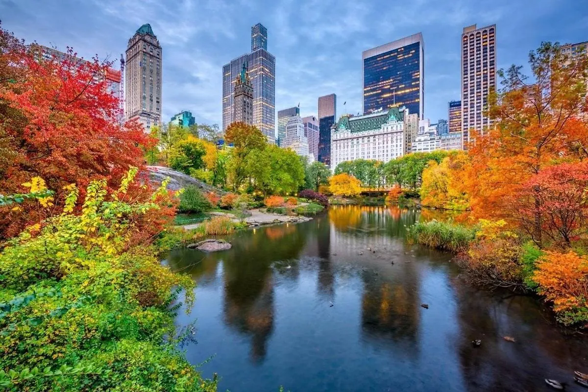 Best Location In Nyc! 1Bd Steps From Central Park New York United States