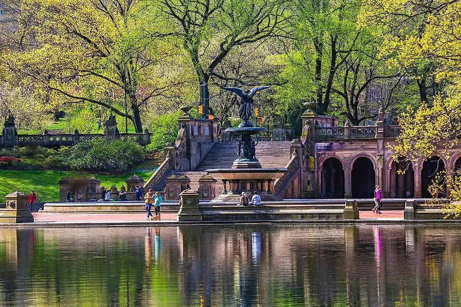 Best Location In Nyc! 1Bd Steps From Central Park Нью-Йорк Апартаменты
