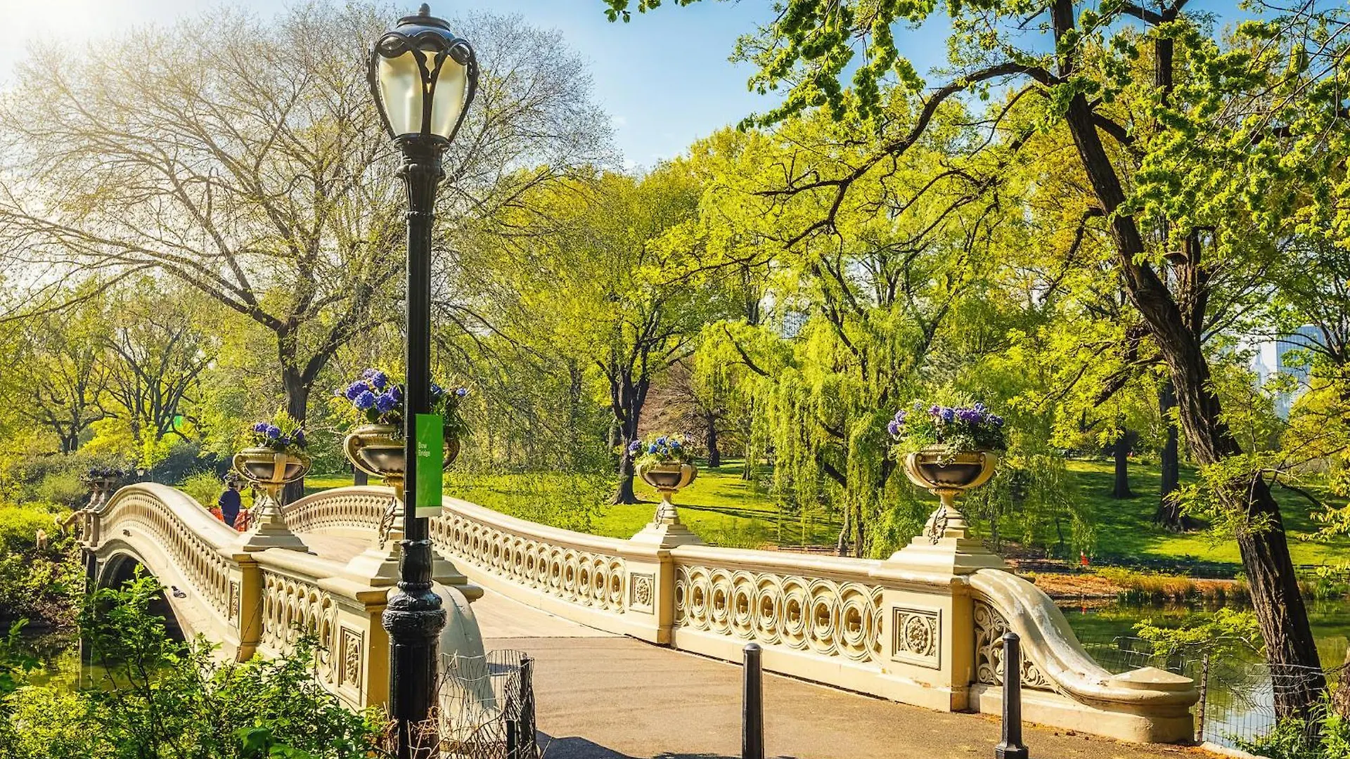 Best Location In Nyc! 1Bd Steps From Central Park Нью-Йорк